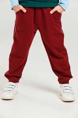 Штаны детские утепленные ШД-0001